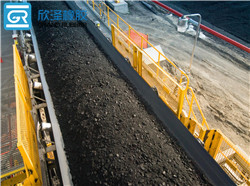 普通大倾角挡边带厂家 普通大倾角挡边带厂家